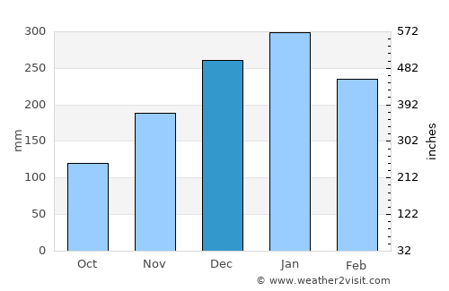 Kute average rain in December