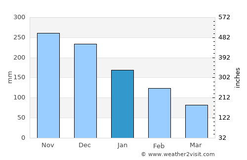La Ceiba average rain in January