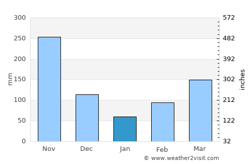La Dorada average rain in January