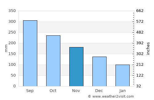 La Guacamaya average rain in November