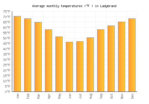 Ladybrand average temperature chart (Fahrenheit)