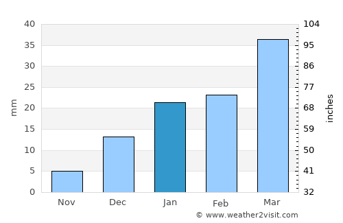 Lahore average rain in January