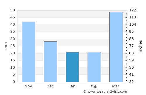 Lakeville average rain in January