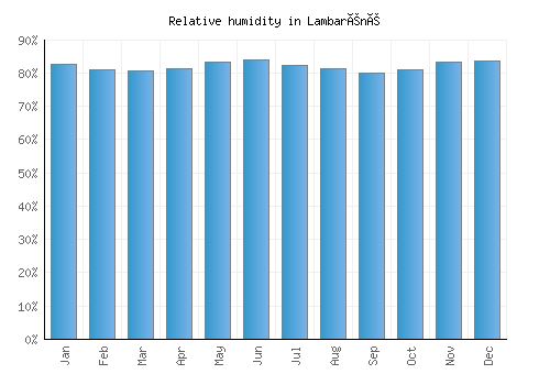 Lambaréné relative humidity averages