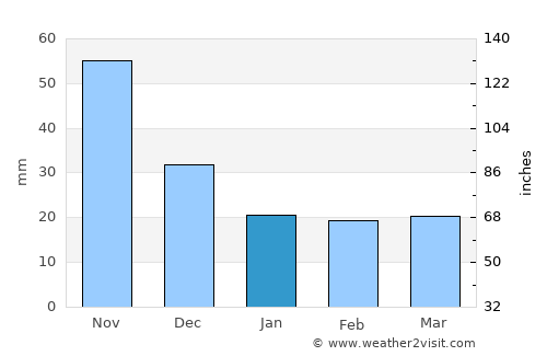 Las Vigas average rain in January