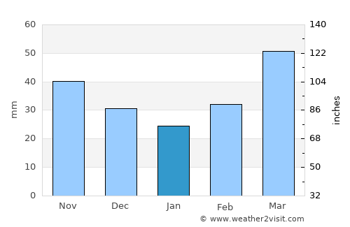 Lawton average rain in January