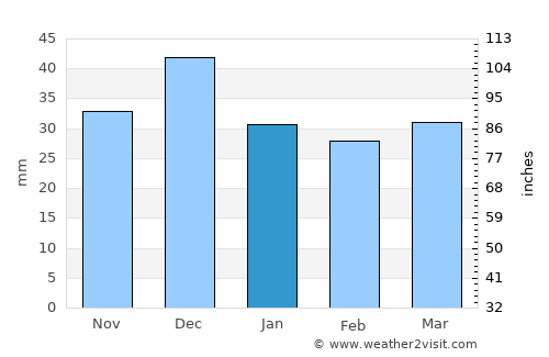 Lazarev average rain in January