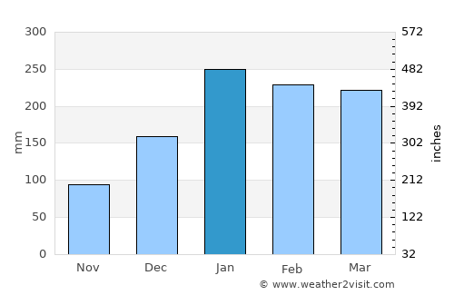 Le Port average rain in January