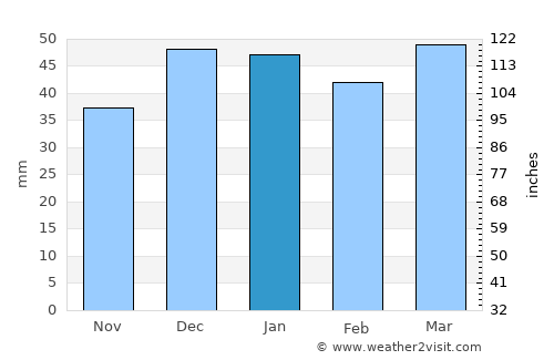 Leadville average rain in January