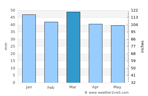 Leadville average rain in March