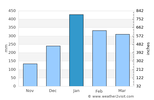 Leanyer average rain in January