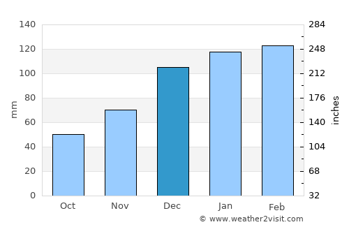 Leesburg average rain in December