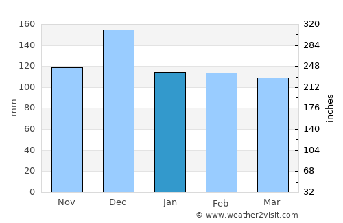 Leesville average rain in January