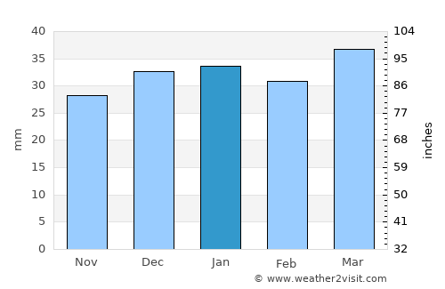 Leeton average rain in January