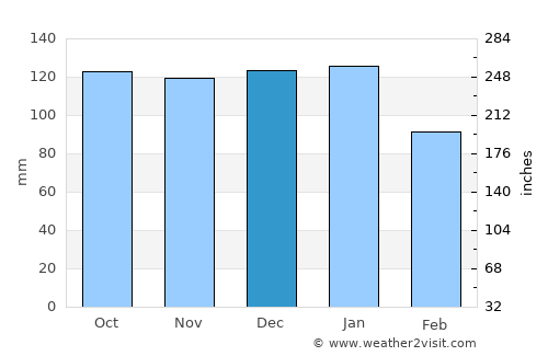 Leifear average rain in December