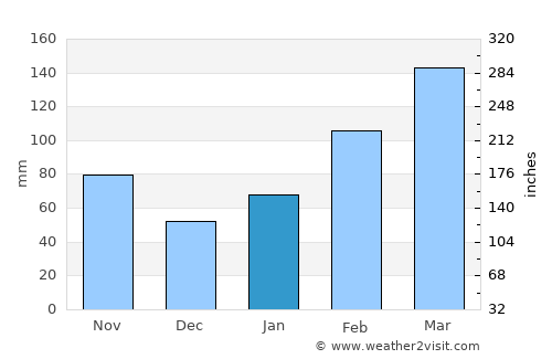 Leiyang average rain in January