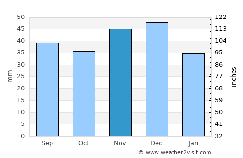 Lenauheim average rain in November
