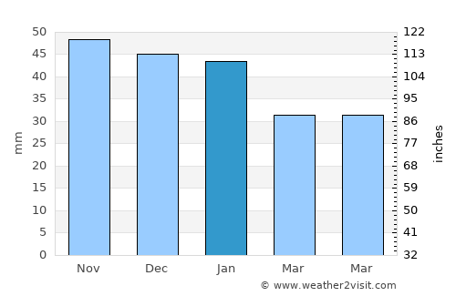 Leninogorsk average rain in January