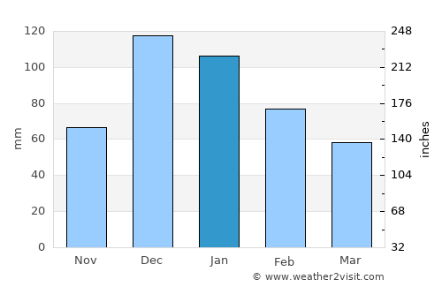 Leonarisso average rain in January