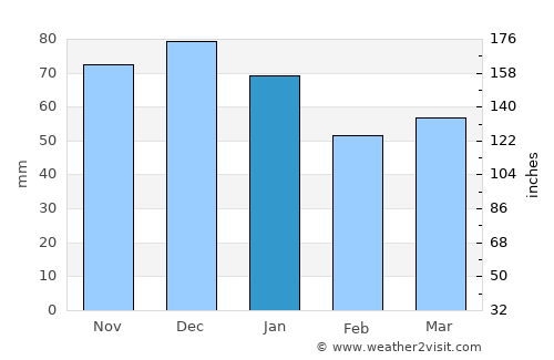 Lesja average rain in January