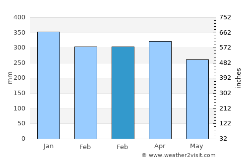 Leticia average rain in February