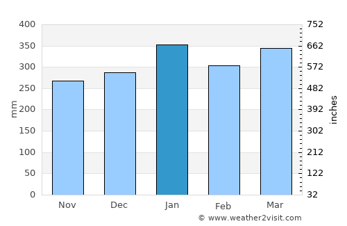 Leticia average rain in January