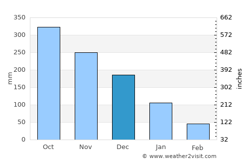 Libertad average rain in December