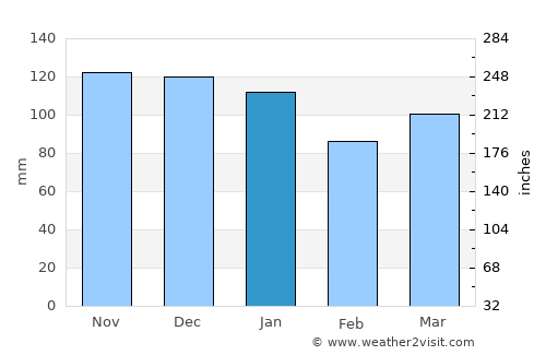 Libin average rain in January