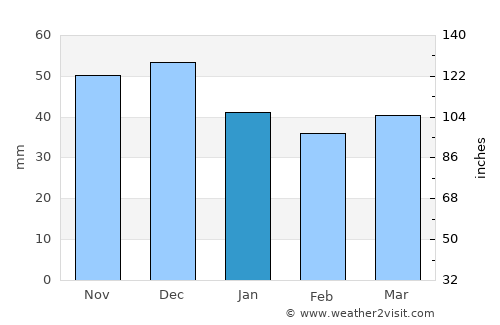 Lichtenberg average rain in January