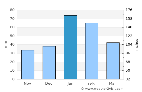 Lightning Ridge average rain in January