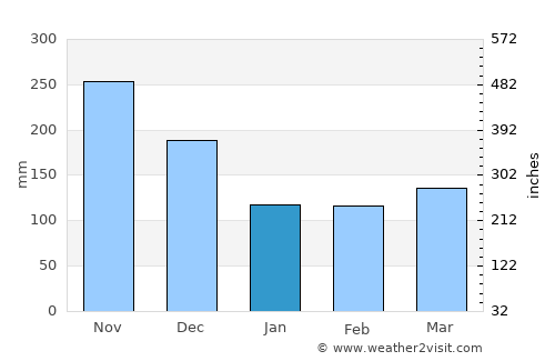 Linares average rain in January