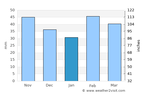 Llano average rain in January