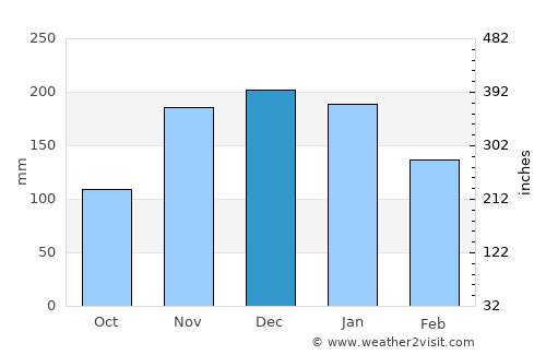 Longview average rain in December