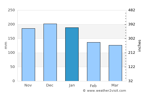 Longview average rain in January