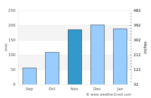 Longview average rain in November