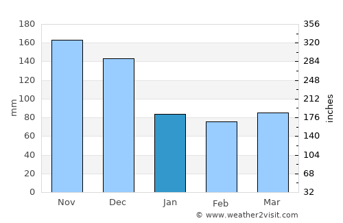 Los Hidalgos average rain in January