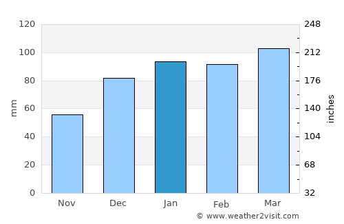 Ludowici average rain in January