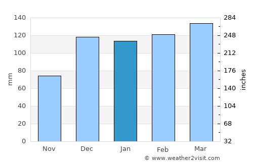 Lumpkin average rain in January