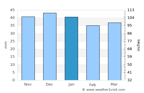 Lunca Bradului average rain in January