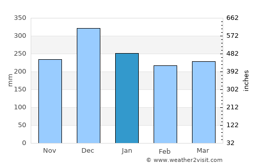 Luziânia average rain in January