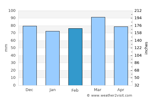 Lynchburg average rain in February