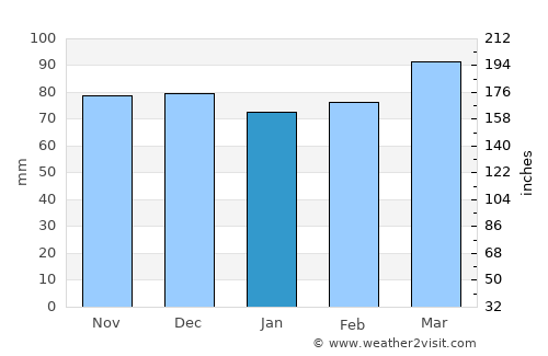 Lynchburg average rain in January