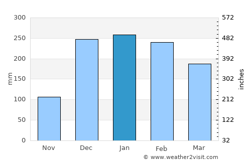 Machinga average rain in January