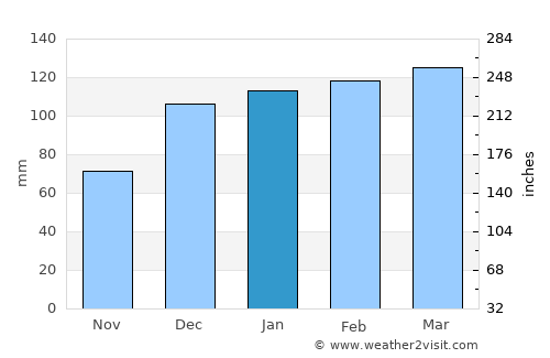 Macon average rain in January