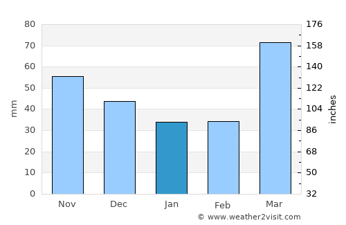 Macon average rain in January