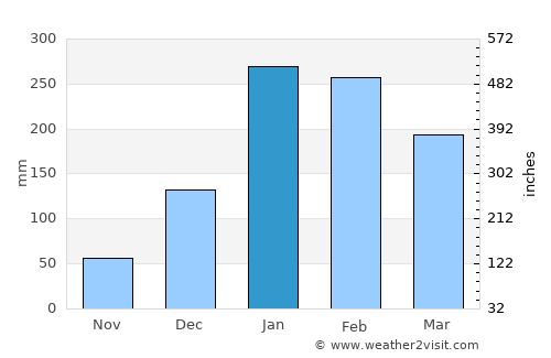 Magnetic Island average rain in January