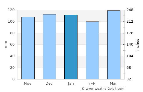 Magnolia average rain in January