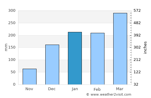 Malinyi average rain in January