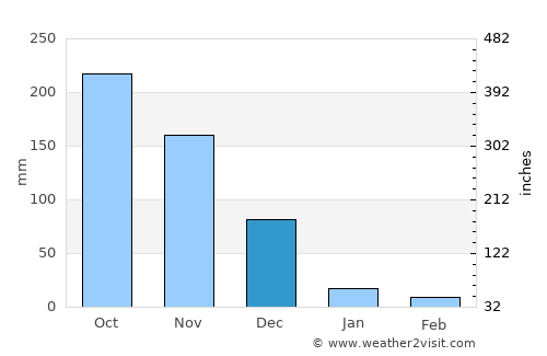 Manalūrpettai average rain in December