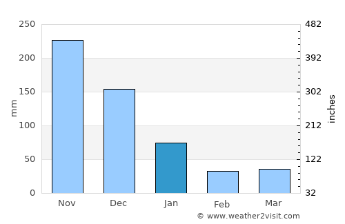 Manaul average rain in January